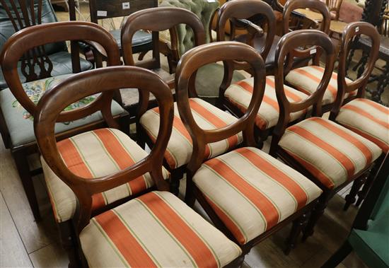 A set of eight balloon back mahogany dining chairs